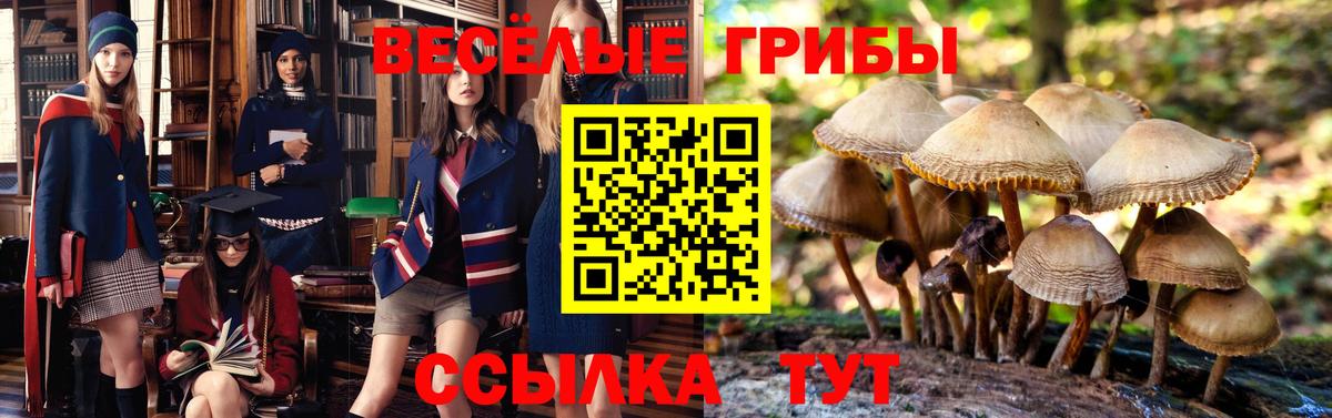 Галлюциногенные грибы GOLDEN TEACHER Октябрьский